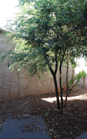 Casa para alugar com 130m², 2 quartos e 3 vagasQuintal