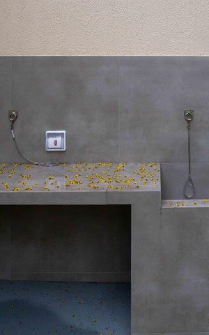 Apartamento para alugar com 37m², 2 quartos e 1 vagaEspaço Pet