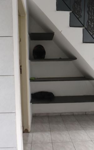 Casa para alugar com 147m², 3 quartos e sem vagaCozinha