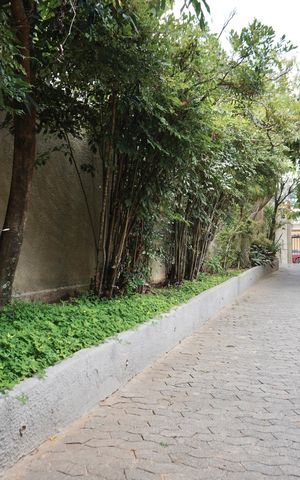 Apartamento para alugar com 87m², 3 quartos e 2 vagas Apartamento para alugar com 87m², 3 quartos e 2 vagasGaragem