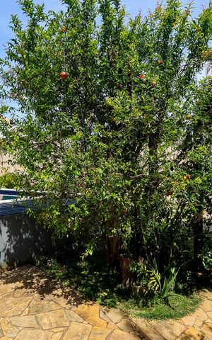 Casa à venda com 270m², 3 quartos e 9 vagasJardim