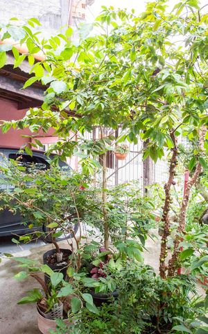 Casa à venda com 157m², 4 quartos e 2 vagasÁrea externa