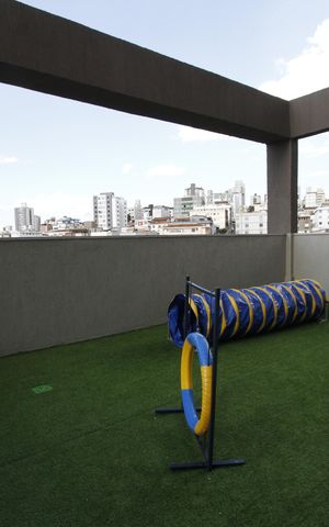 Apartamento para alugar com 26m², 1 quarto e sem vagaEspaço pet