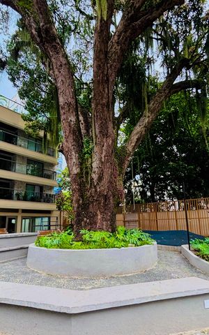 Apartamento para alugar com 29m², 1 quarto e sem vaga