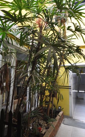 Casa à venda com 150m², 4 quartos e 2 vagasHall de circulação e ventilação