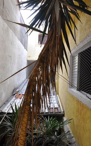 Casa à venda com 150m², 4 quartos e 2 vagasVista da Suíte 2