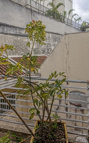 Casa para alugar com 162m², 3 quartos e 3 vagas Casa para alugar com 162m², 3 quartos e 3 vagassacada na suíte 1_1