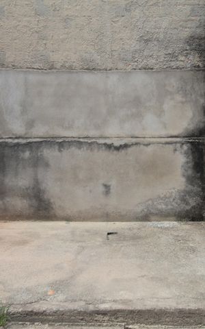 Casa para alugar com 360m², 3 quartos e 4 vagasQuintal