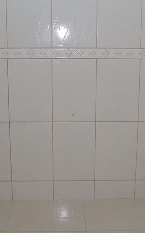 Casa para alugar com 72m², 2 quartos e 2 vagas Casa para alugar com 72m², 2 quartos e 2 vagasCozinha