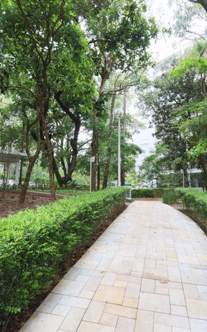 Apartamento à venda com 90m², 3 quartos e 2 vagasÁrea comum - Bosque