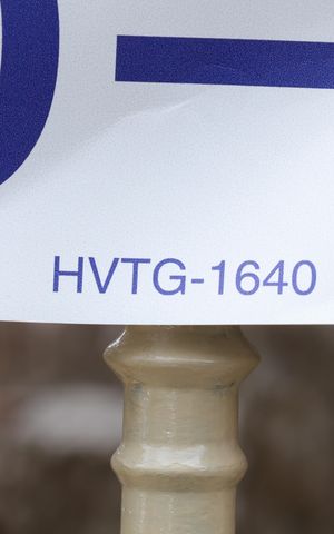 Casa para alugar com 40m², 1 quarto e sem vagaPlaca GRANDE instalada no portão do imóvel, dia 21.10.2026 - Códiggo da placa: HVTG-1640