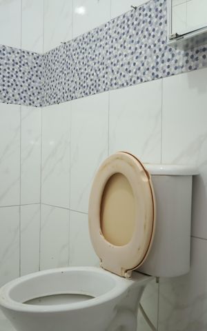 Casa para alugar com 40m², 1 quarto e sem vagaBanheiro
