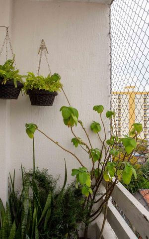 Apartamento à venda com 134m², 4 quartos e 2 vagasVaranda da Sala