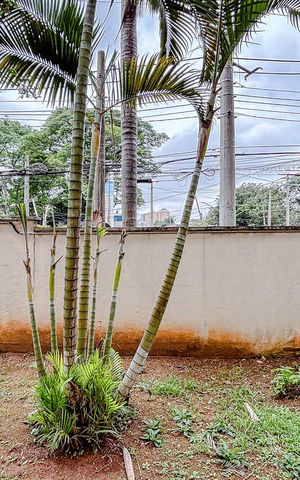 Apartamento para alugar com 56m², 2 quartos e 1 vagaVista do Quarto 1