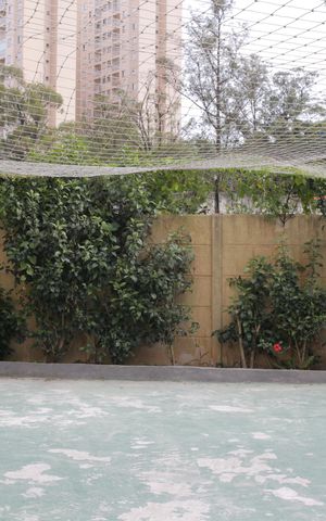 Apartamento para alugar com 38m², 2 quartos e sem vaga Apartamento para alugar com 38m², 2 quartos e sem vagaQuadra Esportiva