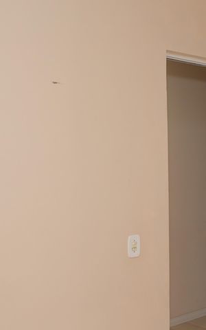 Apartamento para alugar com 38m², 2 quartos e sem vaga Apartamento para alugar com 38m², 2 quartos e sem vagaQuarto 1