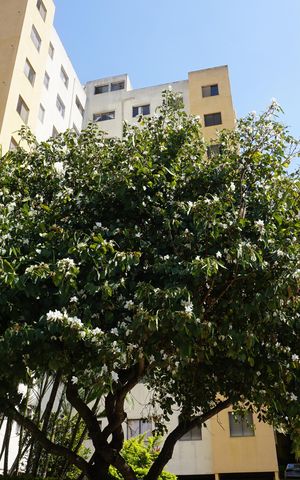 Apartamento para alugar com 60m², 2 quartos e 1 vagaÁrea comum