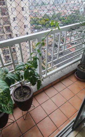 Apartamento à venda com 54m², 2 quartos e 1 vaga