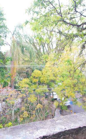 Apartamento à venda com 96m², 3 quartos e sem vagaSala - Varanda