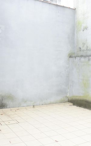Casa para alugar com 318m², 3 quartos e 4 vagasQuintal do fundo