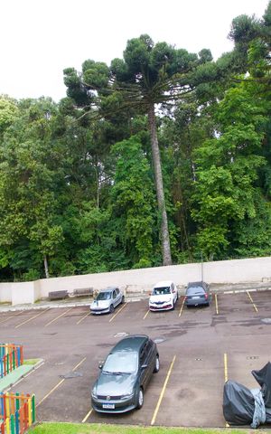 Apartamento para alugar com 48m², 2 quartos e 1 vaga Apartamento para alugar com 48m², 2 quartos e 1 vagaVista