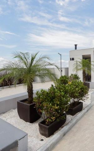 Apartamento à venda com 38m², 2 quartos e sem vaga