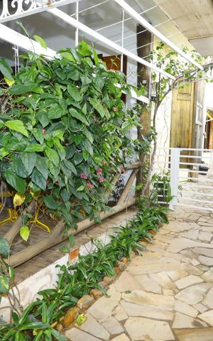 Casa à venda com 500m², 3 quartos e 6 vagasJARDIM