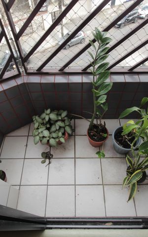 Apartamento para alugar com 80m², 2 quartos e 1 vagaSacada do Quarto 1