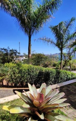 Casa à venda com 670m², 5 quartos e 6 vagas