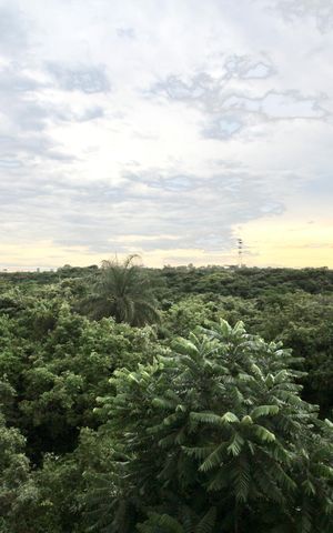 Apartamento à venda com 40m², 2 quartos e 1 vagaVista