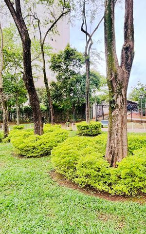 Apartamento para alugar com 44m², 2 quartos e 1 vaga Apartamento para alugar com 44m², 2 quartos e 1 vagaÁrea comum