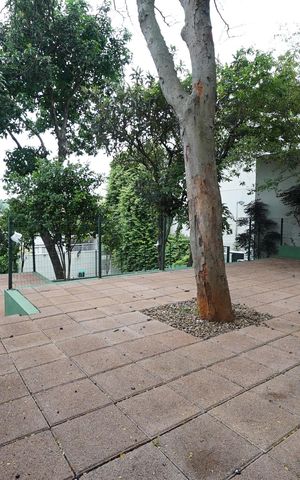 Apartamento para alugar com 220m², 2 quartos e 3 vagasRedário