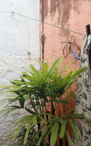 Casa à venda com 75m², 1 quarto e 1 vagaÁrea de Serviço