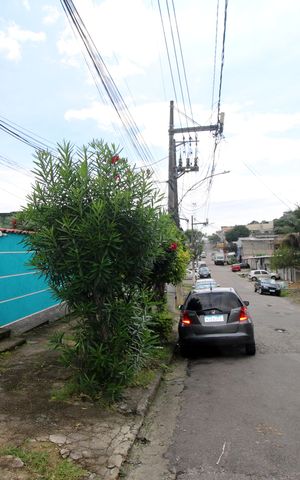 Casa para alugar com 35m², 1 quarto e 1 vagaFachada