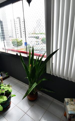 Apartamento à venda com 65m², 2 quartos e 2 vagasSacada