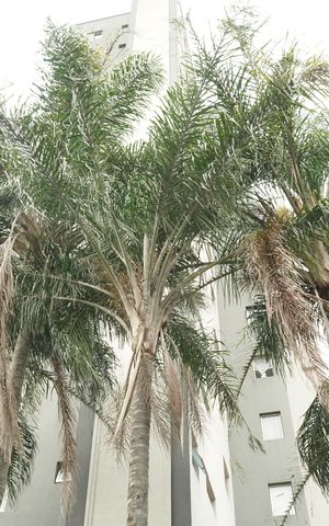 Apartamento para alugar com 68m², 2 quartos e 1 vagaFachada