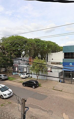 Casa para alugar com 170m², 3 quartos e sem vagaVista da Sala 2
