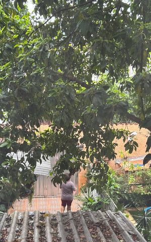 Casa à venda com 50m², 6 quartos e 2 vagasVista do Quarto 5