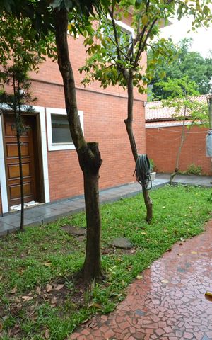 Casa para alugar com 261m², 7 quartos e 5 vagasQuintal
