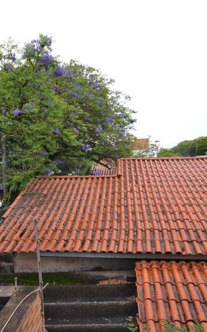 Casa para alugar com 261m², 7 quartos e 5 vagasSala 2