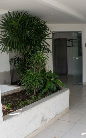 Apartamento para alugar com 65m², 2 quartos e 1 vagaÁrea externa