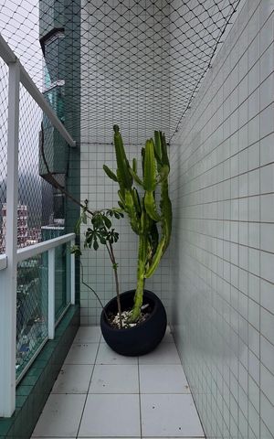 Apartamento para alugar com 170m², 3 quartos e 3 vagas Apartamento para alugar com 170m², 3 quartos e 3 vagasVaranda da Suíte 1