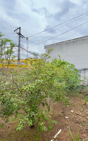 Casa para alugar com 252m², 3 quartos e 3 vagas Casa para alugar com 252m², 3 quartos e 3 vagasJardim