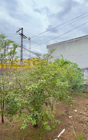 Casa para alugar com 252m², 3 quartos e 3 vagas Casa para alugar com 252m², 3 quartos e 3 vagasJardim