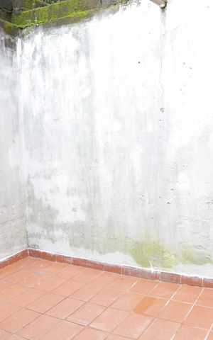 Casa para alugar com 100m², 2 quartos e 1 vaga Casa para alugar com 100m², 2 quartos e 1 vagaÁrea de Serviço