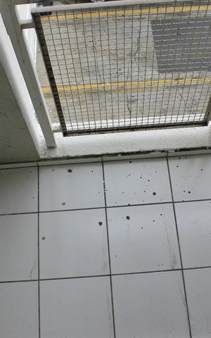 Apartamento para alugar com 56m², 2 quartos e 1 vagaVaranda