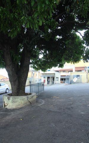 Apartamento para alugar com 50m², 2 quartos e 1 vagaÁrea comum