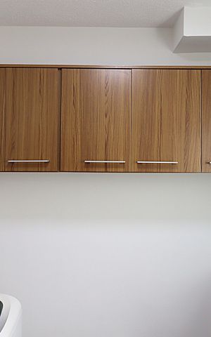 Apartamento para alugar com 50m², 2 quartos e 1 vagaCozinha e Área de Serviço