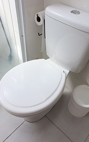 Apartamento para alugar com 50m², 2 quartos e 1 vagaBanheiro