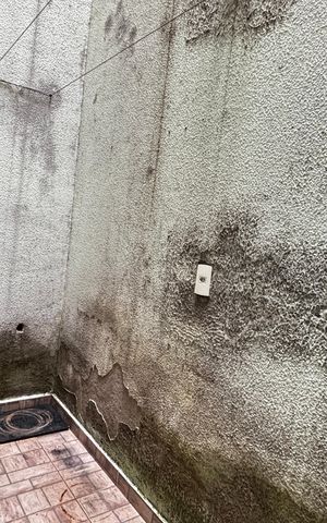 Apartamento para alugar com 54m², 2 quartos e 1 vaga Apartamento para alugar com 54m², 2 quartos e 1 vagaÁrea de Serviço